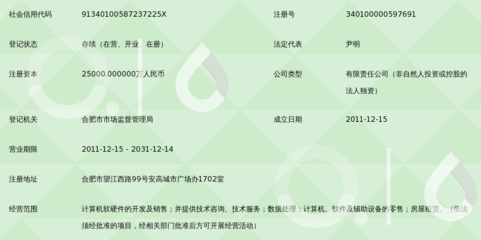 合肥大智慧信息技術(shù) 計算機軟硬件技術(shù)開發(fā)的創(chuàng)新引擎
